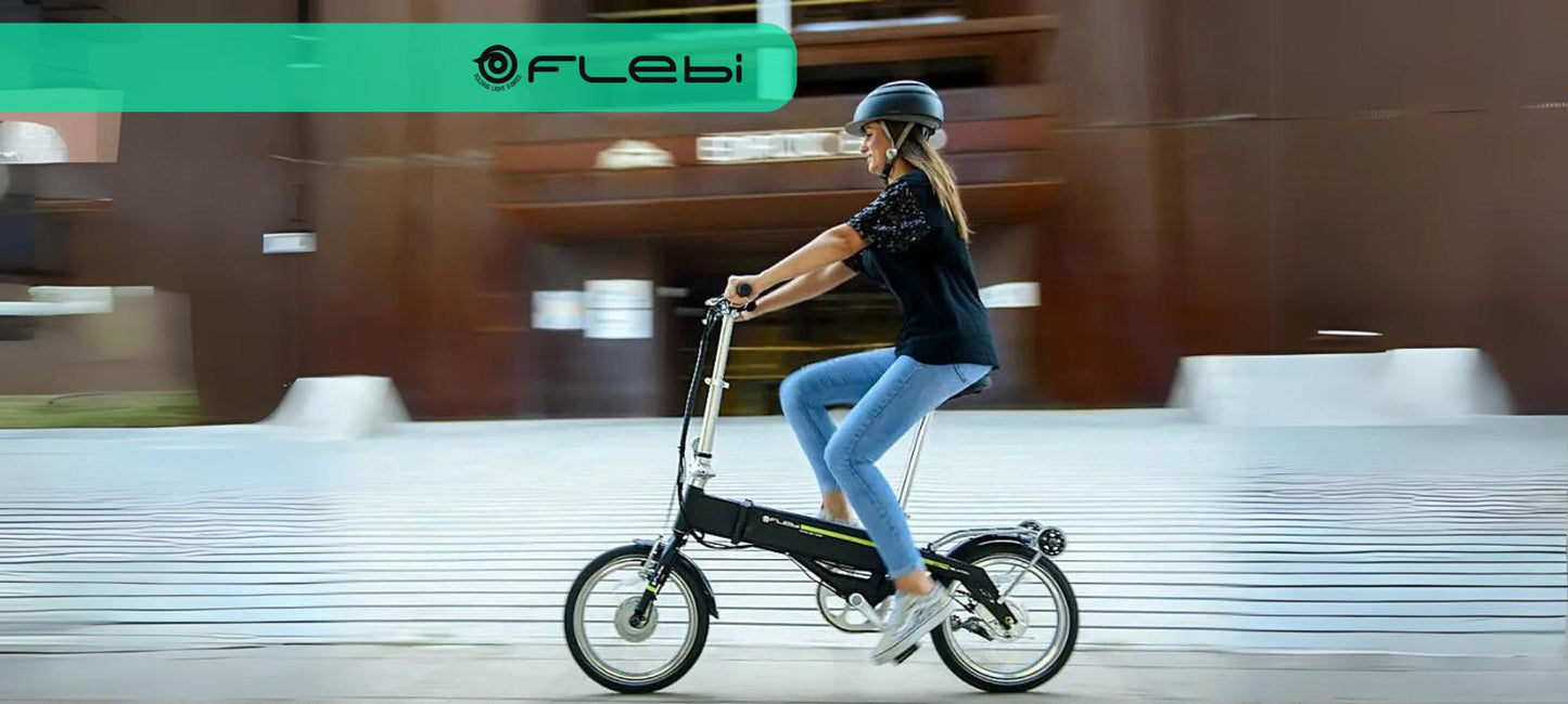 Flebi Electric Bikes