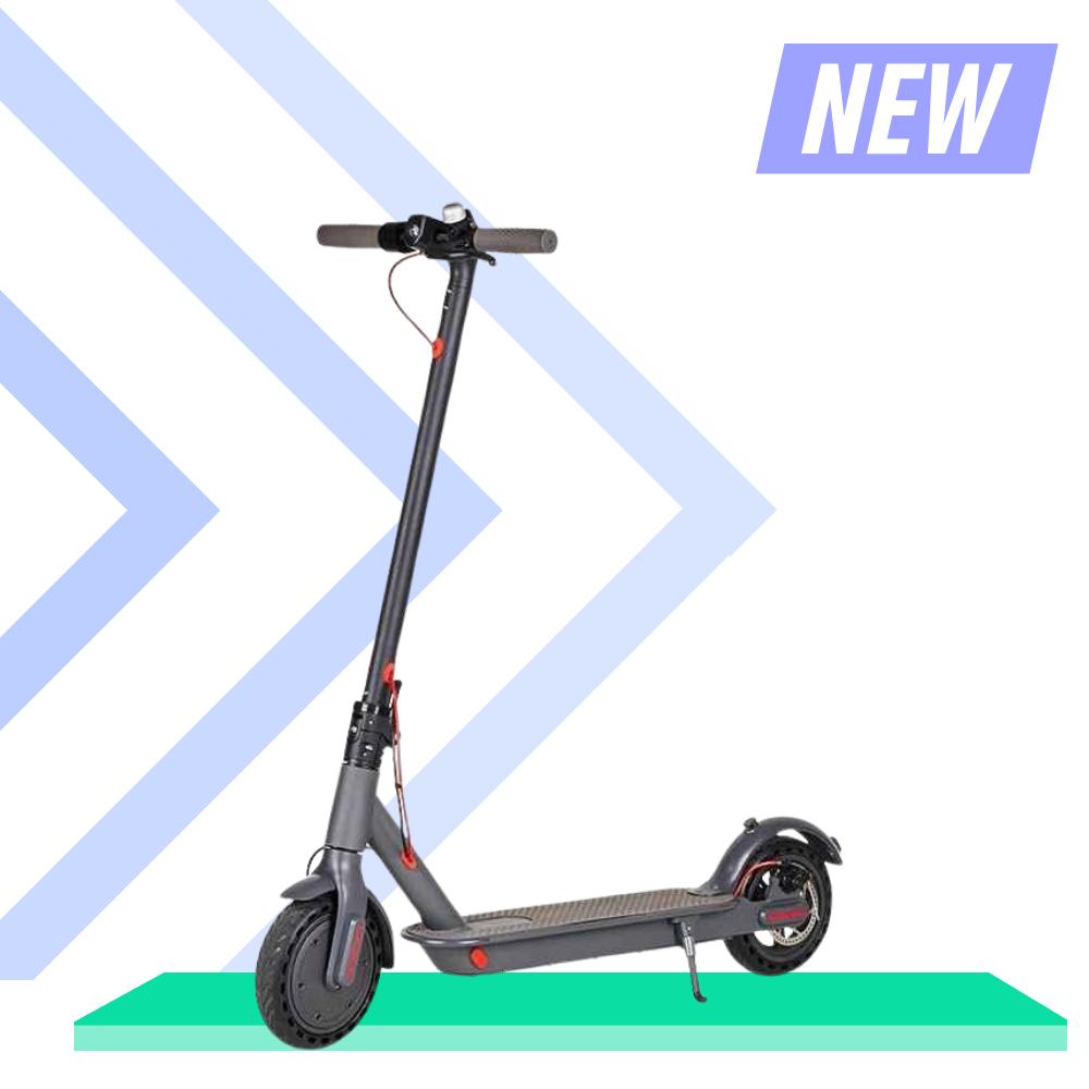 
                      
                        ecoxtrem eco450 electric scooter
                      
                    