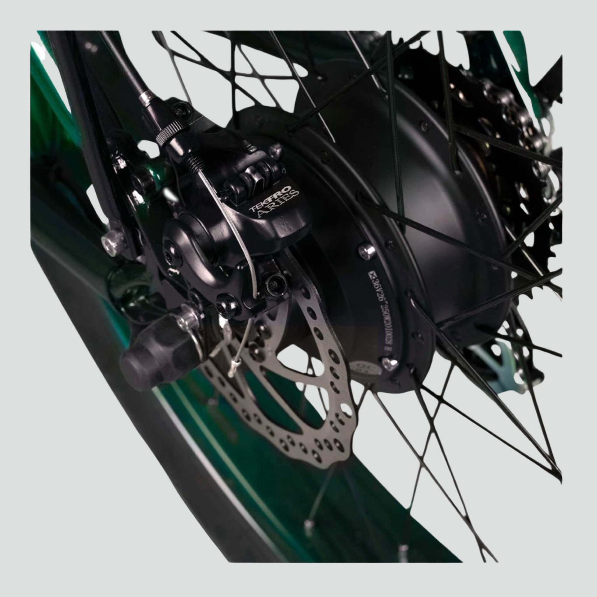  E-Bike Jeep Cruise CR 7004 (2022)