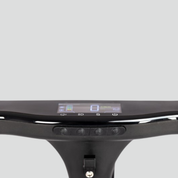 Ice M5 Electric scooter