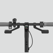 Electric scooter Ninebot F25I