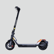Electric scooter Ninebot P65E
