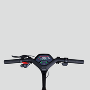 Electric scooter Ninebot P65E