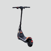 Electric scooter Ninebot P65E