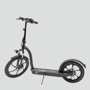 Electric scooter Smartgyro LOBO