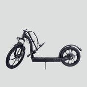 Electric scooter Smartgyro LOBO