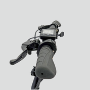 Electric scooter Smartgyro LOBO