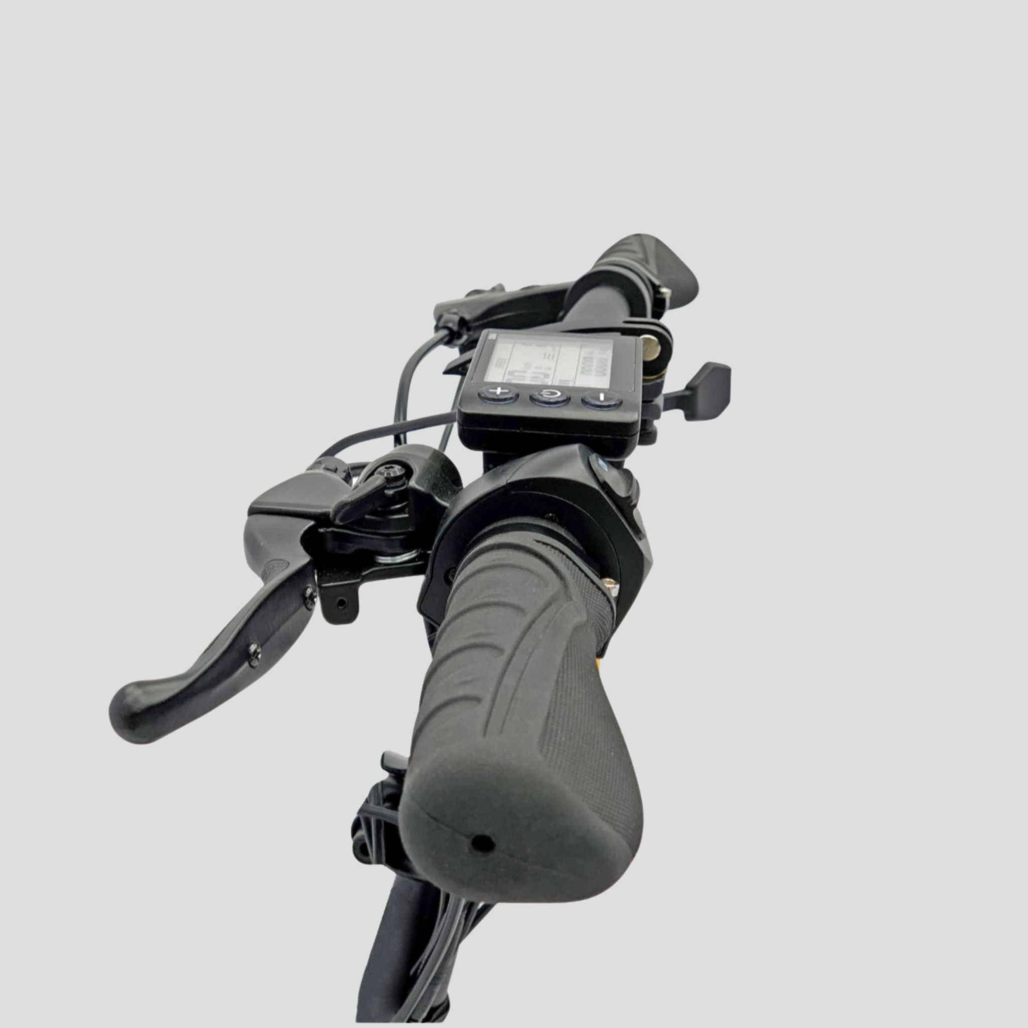 Electric scooter Smartgyro LOBO