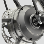 Electric scooter Smartgyro LOBO