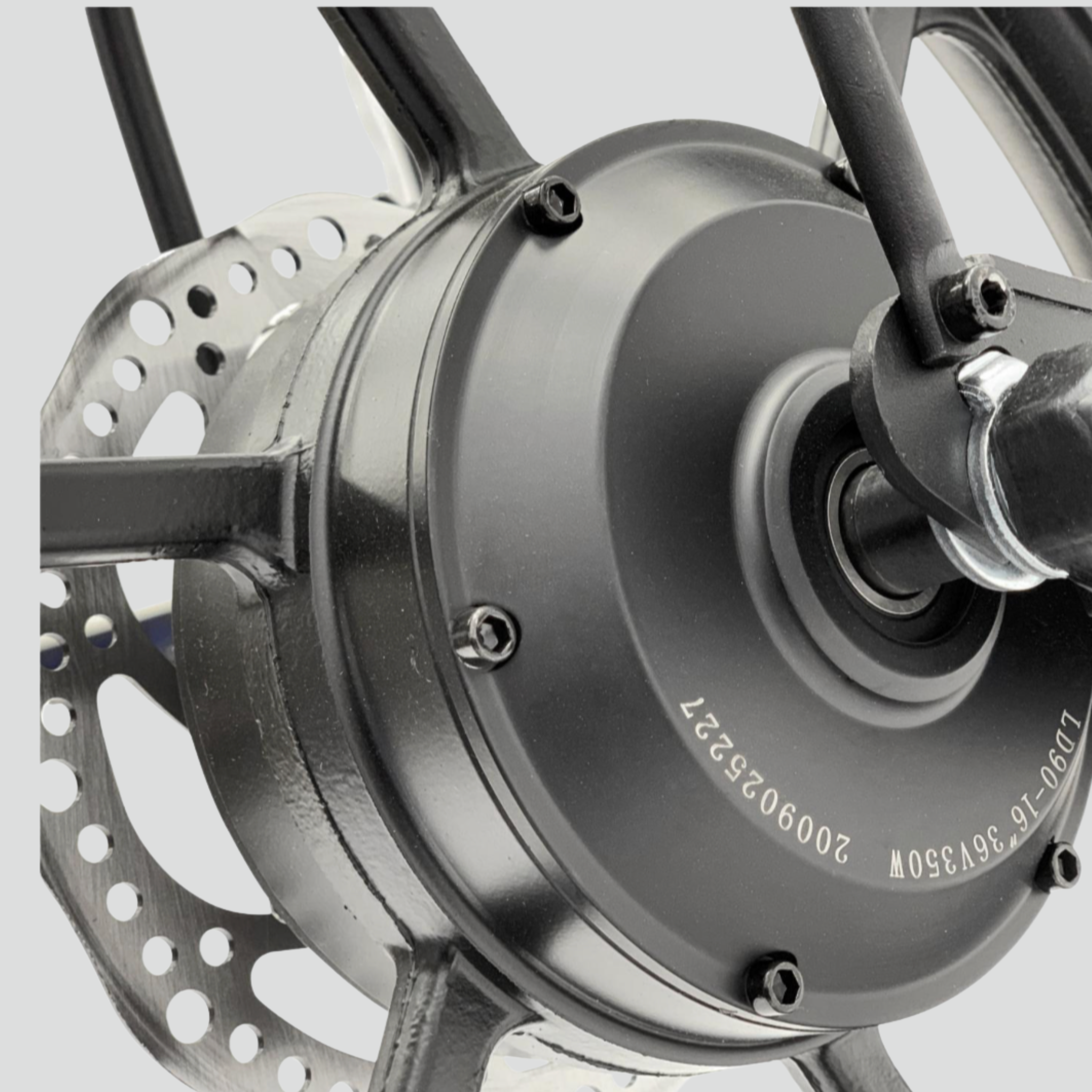 Electric scooter Smartgyro LOBO