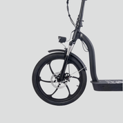 Electric scooter Smartgyro LOBO