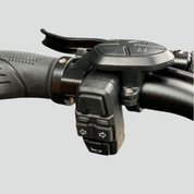 Electric scooter smartGyro Raptor Black