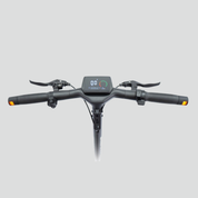 Smartgyro Rockway Pro Evo Electric scooter