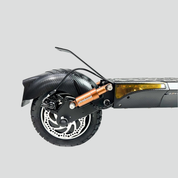 SmartGyro Rockway Pro Electric scooter